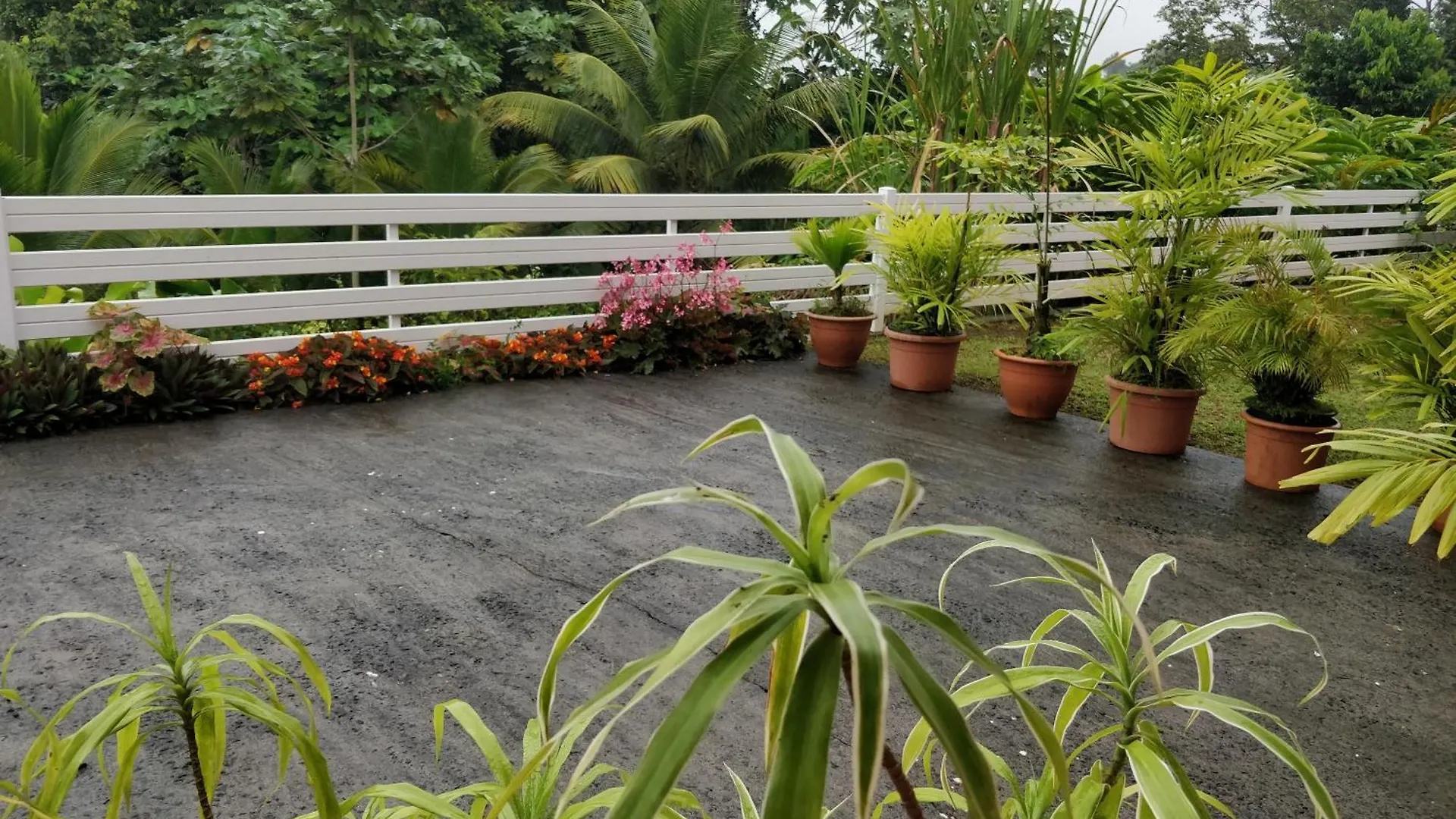 Petit Studio 0*, Petit-Bourg Guadeloupe